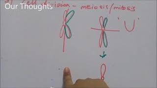 Biology Notes Isochromosome [upl. by Cicily]