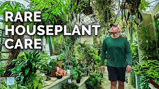 Secret Houseplant Care Tips From a Master Houseplant Grower [upl. by Arhez776]