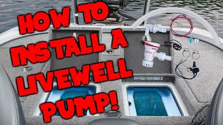 How to Install a Livewell Pump Tsunami T500 [upl. by Veta]