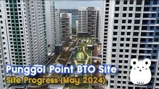 Punggol Point Cove  Crown BTO May2024  Progress Update [upl. by Janean]