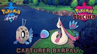 Pokémon Épée  Bouclier  Obtenir Barpau amp Milobellus [upl. by Meeks]