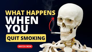 Quit SMOKING Weed amp DRINKING Motivation Jordan Peterson Wes Watson David Goggins [upl. by Cloutman]