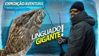 A PESCA DO HALIBUT O LINGUADO GIGANTE DO ALASCA  EXPEDIÇÃO AVENTURA [upl. by Akehsay227]