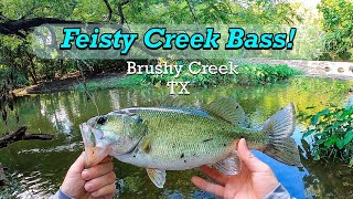 Feisty Creek Bass Bass Fishing Brushy Creek near Round Rock Texas [upl. by Oirogerg]