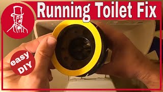 Why does my toilet keep running how to replace Kohler flush valve seal [upl. by Nylear]