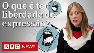 Glossário político O que é liberdade de expressão [upl. by Nnyleuqaj14]