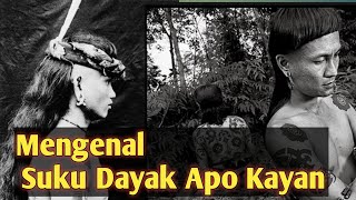 Mengenal Suku Dayak Apokayan [upl. by Nilcaj]