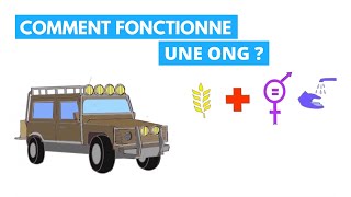 Comment fonctionne une ONG [upl. by Keppel800]