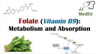 Folate Vitamin B9 Why we need it dietary sources and how we absorb and metabolize it [upl. by Aleirbag]