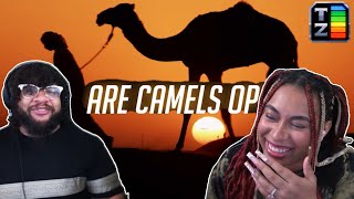 Are Camels OP  Tier Zoo Reaction [upl. by Arraeis]