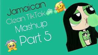 Jamaican TikTok mashup clean part 5 [upl. by Nirtak]