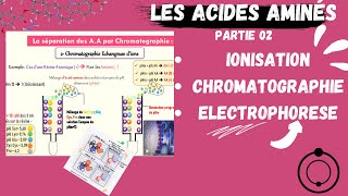 📣Acides Aminés  Ionisation Electrophorèse Chromatographie CHROMATOGRAPHYAMINOACIDS [upl. by Eineg116]