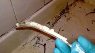 How To Remove Caulk in SECONDS [upl. by Nirag]