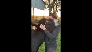 Animals Reunited With Owner After Years [upl. by Lyret417]