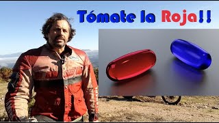 ðŸ’¥ Tomaros la Pvt Pastilla Roja [upl. by Anilos]