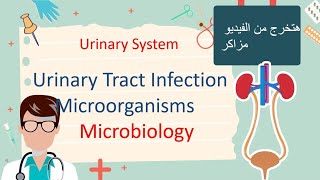 Urinary Tract Infection  Microbiology هتخرج مزاكر المحاضره [upl. by Kimberley]