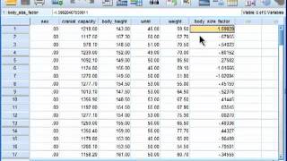 Analysis of Covariance ANCOVA  SPSS part 3 [upl. by Nierman]