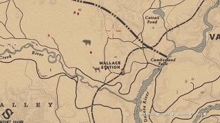 Where to find Violet Snowdrop rdr2 online locations [upl. by Fulviah]