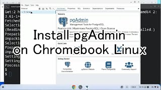 Install pgAdmin on Chromebook Linux [upl. by Jankell870]