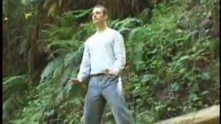 Qi Gong Flow For Beginners with Lee Holden  Teaser [upl. by Eetsim]