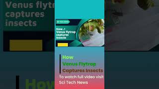 Subscribe Sci Tech News [upl. by Acysej]