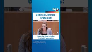 AfD lacht JammerGrüne aus afd ltnrw [upl. by Arihay89]