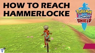 How to reach Hammerlocke through the wilds  Pokemon Sword amp Shield [upl. by Laamak]