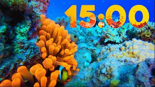 15 Minute 4K Aquarium Countdown with Relaxing Piano Music 🐠🎹 [upl. by Ellehsat]