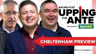 Upping The Ante  Cheltenham Preview Show 2024  Horse Racing Tips [upl. by Nnylyoj]