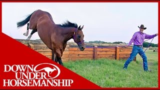 Clinton Anderson How To Tie A Rope Halter  Downunder Horsemanship [upl. by Adnesor]