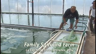 Family Spirulina Algae Farm in France • 2002 [upl. by Ertnom206]