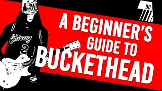 A Beginners Guide to Buckethead [upl. by Frayda]