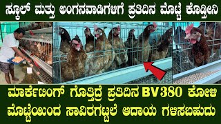 Call 9880426984 BV380 Hens farm in Karnataka  Bv380 eggs profitable poultry bussiness Bv380 koli [upl. by Ecnedurp]