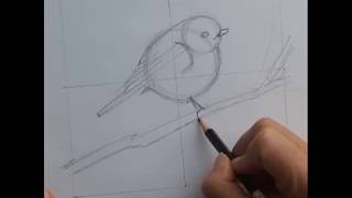 Cours de dessin pour débutant gratuit Elisabeth Constantin [upl. by Darin]