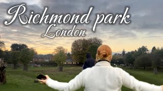 One of the most beautiful park in London 🦌🌳 Richmond Park London 🇬🇧 [upl. by Geddes227]