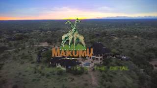 Stay at Makumu Private Game Lodge [upl. by Elna473]