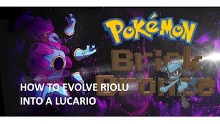 How to evolve Riolu in Pokemon Brick Bronze READ DESC [upl. by Luana]