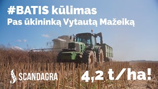 Ž Rapsų veislės BATIS kūlimas  SCANDAGRA [upl. by Kristan]