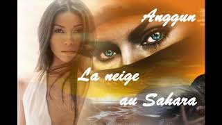 Cover La Neige au Sahara de Anggun Reprise par Emy amp Cris [upl. by Warford]