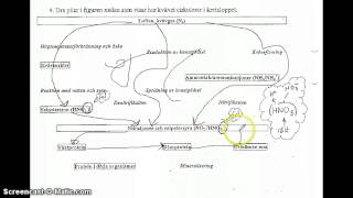 Dålig film om kävets kretslopp [upl. by Noyar]