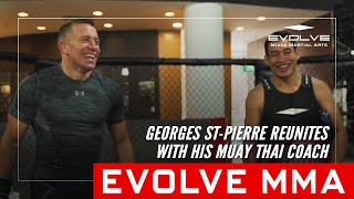 Georges StPierre Training Muay Thai At Evolve MMA [upl. by Lairea]