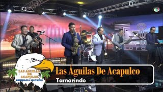 Las Águilas De Acapulco  Tamarindo Video Oficial [upl. by Pietje]