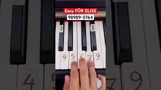 FÜR ELISE  Easy Piano Tutorial shorts piano tutorial learning [upl. by Enatan]