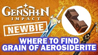 Genshin Impact for BEGINNER  How to get Grain of Aerosiderite if Liyue shop out of stock  PC [upl. by Adabel614]