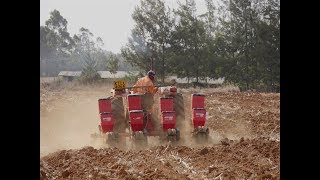 Professional land preparation for forage maize production [upl. by Maudie981]