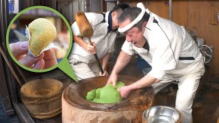 Nara Street Food Guide w Extra Mochi [upl. by Imik489]