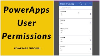 How to Set User Permission in PowerApps Application [upl. by Leunamme]