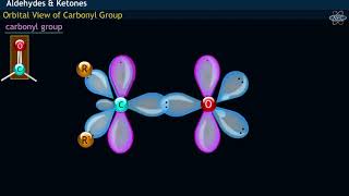 Molecular structure orbital view of carbonyl group in carbonyl compounds and its hybridization [upl. by Eisaj]