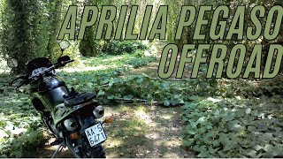 Aprilia Pegaso 650  Maxi Enduro anni 90 [upl. by Draillih]