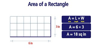 Area of a Rectangle Grade 3 [upl. by Fidelia]